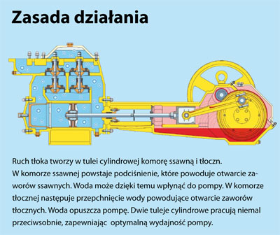 Zasada działania pomp tłokowych